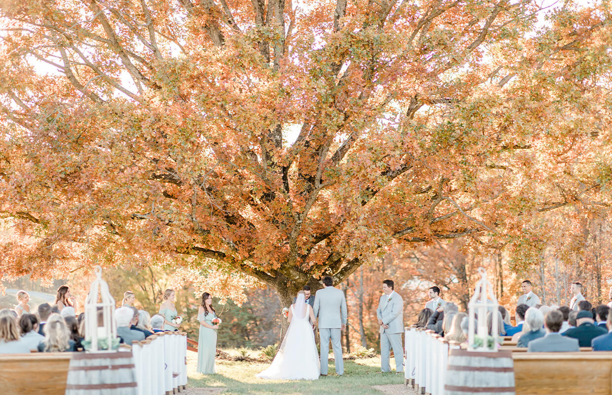 experience oakhaven wedding venues greensboro 16 A wedding ceremony outdoors beneath a large autumn tree. The couple stands at the altar, surrounded by the wedding party and guests seated in rows.