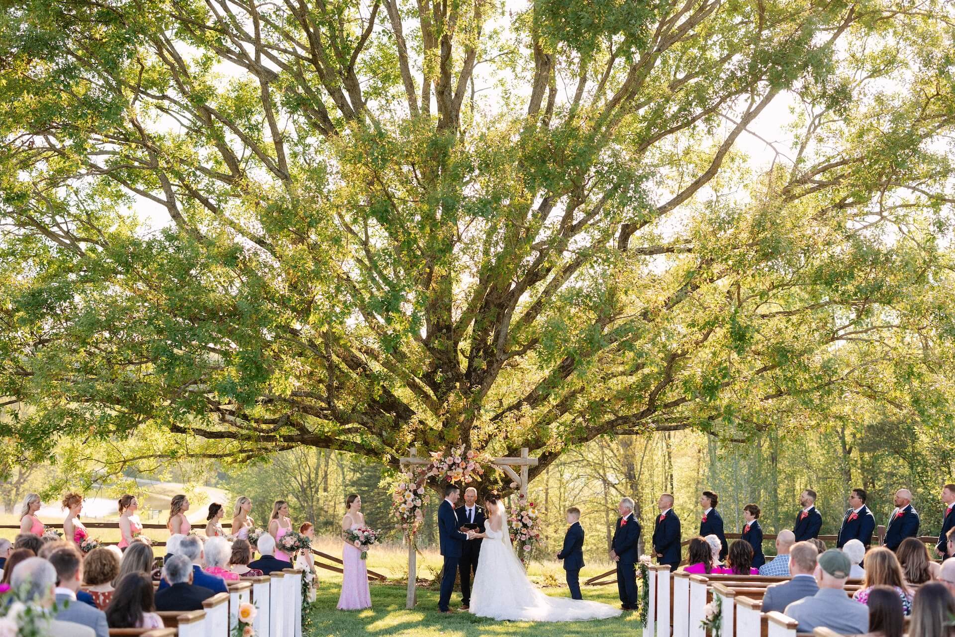 Bride and groom stand under a large tree during an outdoor wedding ceremony, surrounded by bridesmaids and groomsmen, with guests seated on pews.