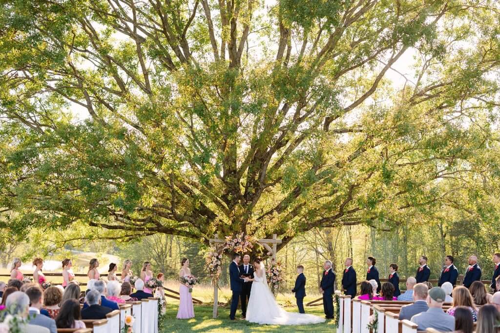 Couple getting married under a large tree with guests seated on both sides. Bridesmaids and groomsmen stand nearby.