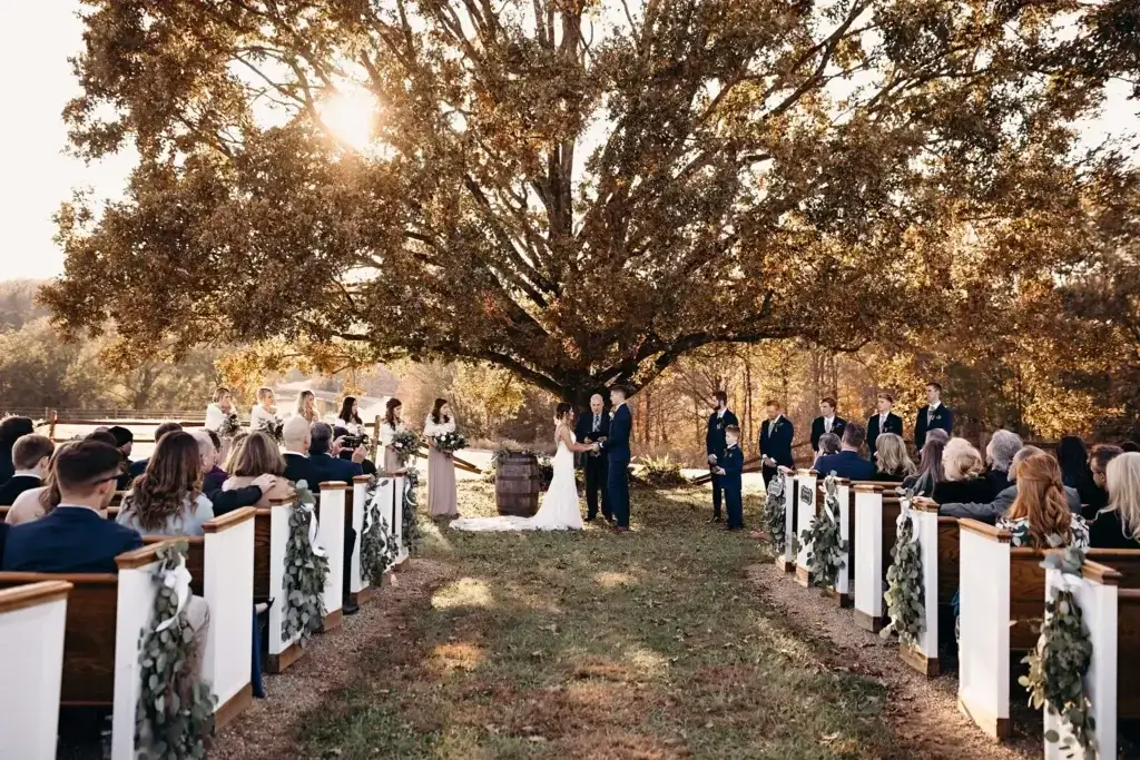 An outdoor wedding ceremony unfolds as guests sit in rows, the couple standing at the altar beneath a large tree, with sunlight filtering gently through the branches.